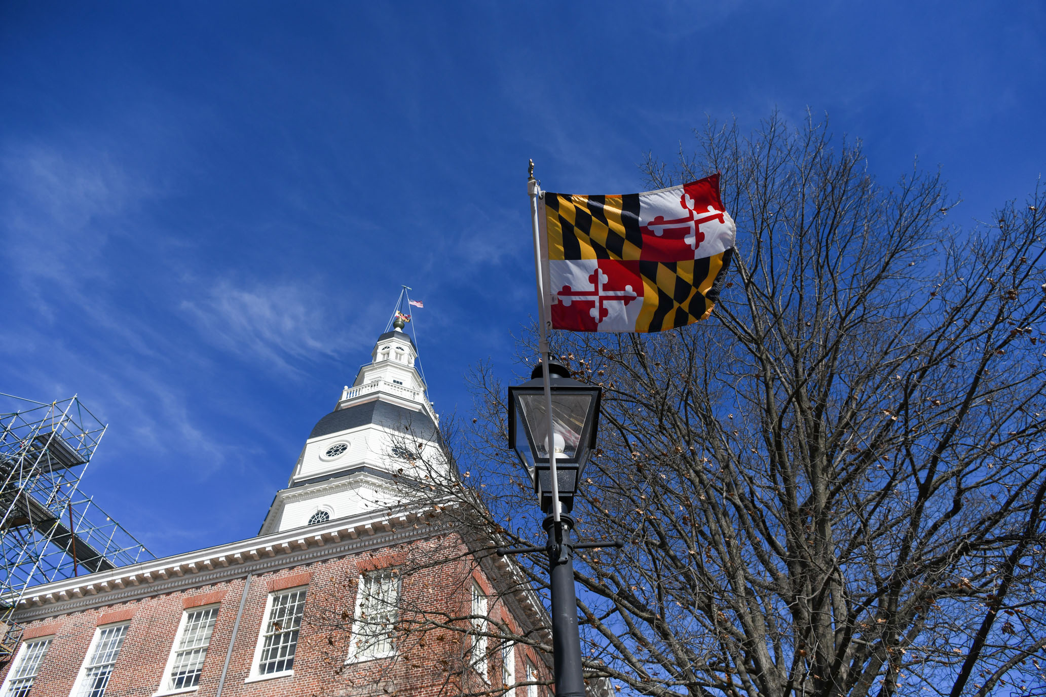 The state of Maryland flag flying in downtown Annapolis, Maryland's state capital.