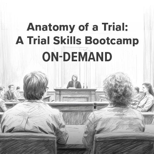 Anatomy of a Trial: A Trial Skills Bootcamp
